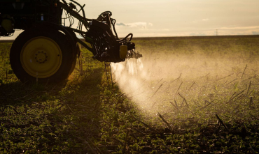Mulheres do agro se reúnem em Cuiabá para debater desafios do setor Mulheres do agro se reúnem em Cuiabá para debater desafios do setor